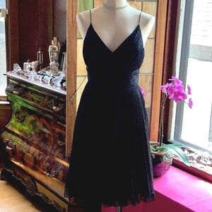 Carmen Marc Valvo Collection Beautiful Lace & Silk Dress